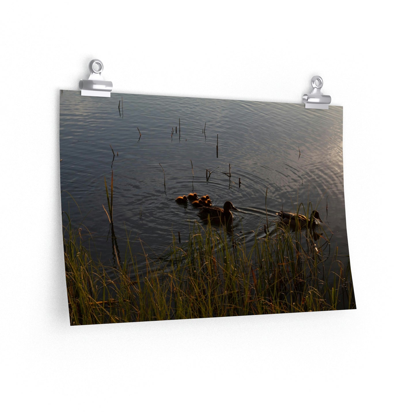 Ducklins of Järvenpää