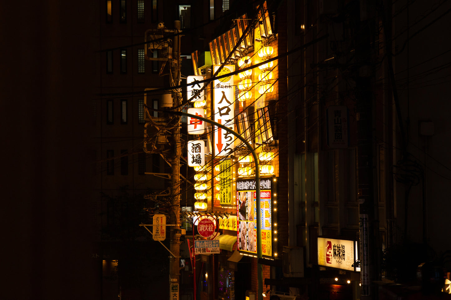 Night Light