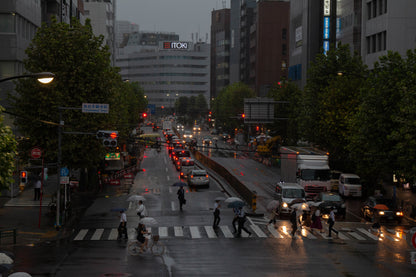 Rainy Rush Hour In Tokyo